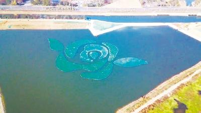一期工程投资7.46亿元截污净化 汤逊湖中绽放巨型“花朵”