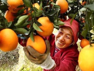 《中国减贫四十年》报告发布：过去40年中国减贫近8亿人