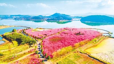 废弃矿区变网红景区——鄂州市梁子湖区大桥村的生态蝶变