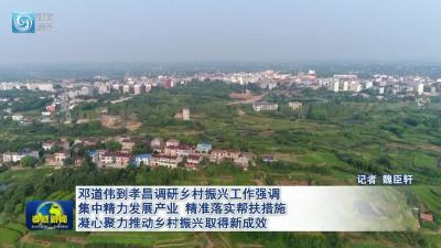 邓道伟到孝昌调研乡村振兴工作强调  集中精力发展产业 精准落实帮扶措施  凝心聚力推动乡村振兴取得新成效