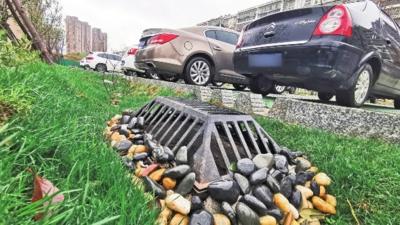 小雨不湿鞋、大雨不积水！ 孝感东西杨路景观绿廊“会呼吸”  
