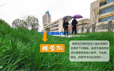 小雨不湿鞋、大雨不积水！带你来看“会呼吸”的东西杨路→