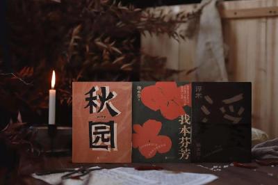 从八旬老人到网红作家：她趴在灶台边，写满八斤稿纸