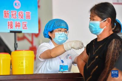 疫情形势如何？物资供应咋保障？权威回应来了