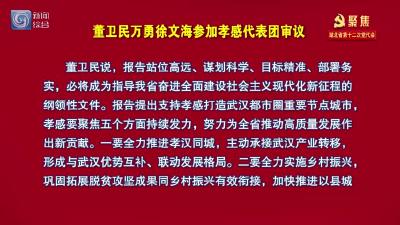 聚焦省第十二次党代会丨董卫民万勇徐文海参加孝感代表团审议