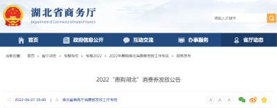 湖北消费券发放时间定了！就在……