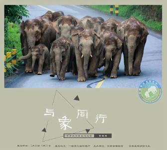 “云南亚洲象北巡纪实影像展”昆明开展 重温萌趣瞬间 