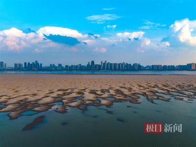 长江水位持续走低，天兴洲滩涂尽显