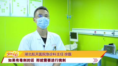 被蜂蛰后怎么办  专家为你来支招