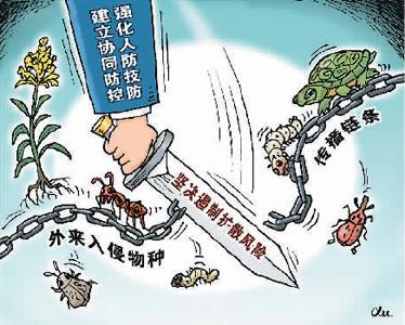 向外来物种入侵说“不” 