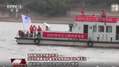 2022年长江江豚科考第二天 首批发现的江豚群中有“小朋友” 