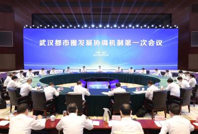 王忠林出席武汉都市圈发展协调机制第一次会议
