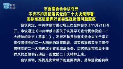 市委常委会会议召开  不折不扣贯彻落实党的二十大决策部署  高标准高质量抓好省委巡视反馈问题整改