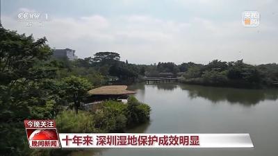 珍爱湿地 中国成为“国际湿地城市”最多的国家