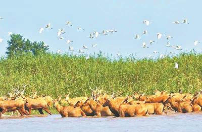 中国主张推进全球湿地保护 荆山楚水蕴含湖北生态密码