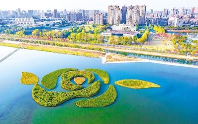 人工浮动湿地如花盛开