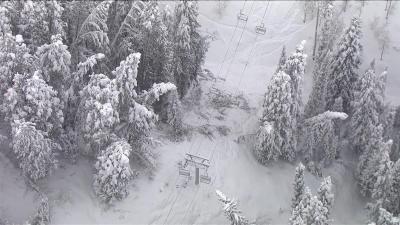 美国一滑雪场员工从缆车上坠落身亡，系松树倒伏撞击线缆所致