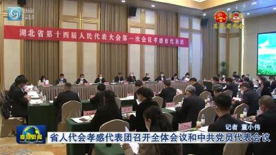 省人代会孝感代表团召开全体会议和中共党员代表会议