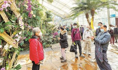 香港游客游览武汉植物园