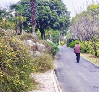 牡丹含苞迎春山茶怒放 去东湖牡丹园赏春日盛景