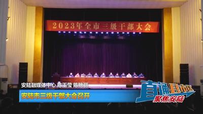 【直通县市区】安陆市三级干部大会召开