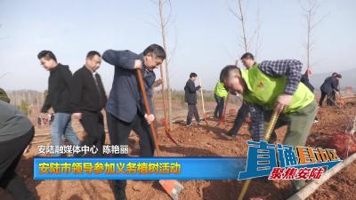 【直通县市区】安陆市领导参加义务植树活动