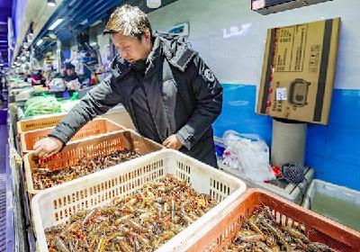 湖北小龙虾提前1个月“抢鲜”上市 每斤价格接近80元 4月下旬可吃便宜虾