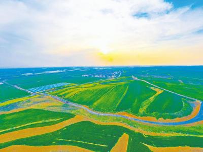 襄阳“一号公路”美如画