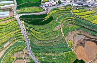 五彩春色美，这里有块大地调色板