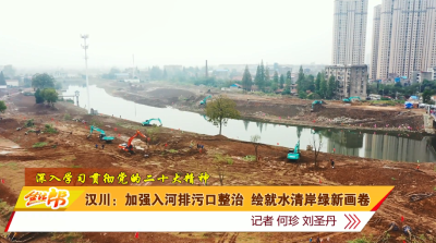 汉川：加强入河排污口整治 绘就水清岸绿新画卷