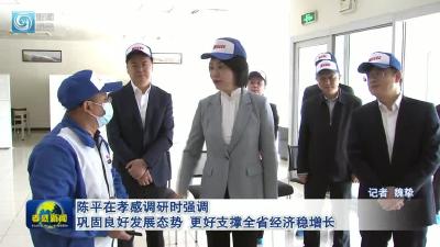 陈平在孝感调研时强调  巩固良好发展态势 更好支撑全省经济稳增长