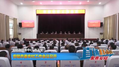 【直通县市区】安陆市委农村工作会议召开