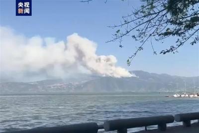 西昌发生森林火灾，当地正处置，暂无人员伤亡报告