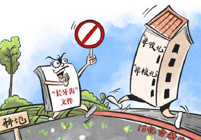 习语品读｜要采取“长牙齿”的硬措施保护耕地