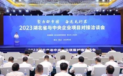 王忠林出席2023湖北省与中央企业项目对接洽谈会 同向同行共建共赢 携手谱写高质量发展新篇章