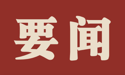 习近平会见越南总理范明政
