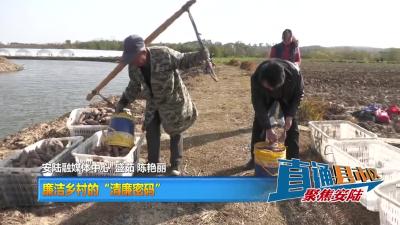 【直通县市区】廉洁乡村的“清廉密码”