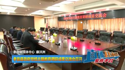 【直通县市区】孝昌县政府党组主题教育调研成果交流会召开