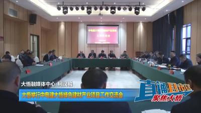 【直通县市区】大悟举行中电建大悟绿色建材产业项目工作交流会