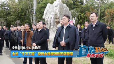 【直通县市区】全省“千万工程”现场会观摩团到安陆观摩