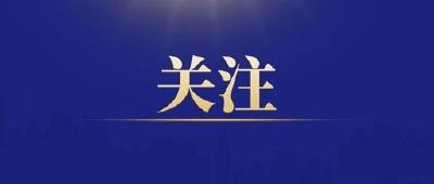 更好发挥先行探路、引领示范、辐射带动作用 ——习近平总书记在深入推进长三角一体化发展座谈会上重要讲话指明方向、催人奋进