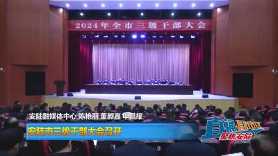 【直通县市区】安陆市三级干部大会召开