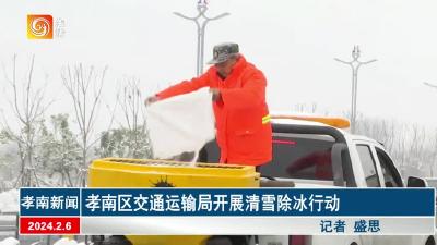 孝南区交通运输局开展清雪除冰行动