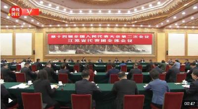 独家视频丨习近平参加江苏代表团审议