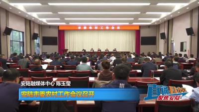 【直通县市区】安陆市委农村工作会议召开