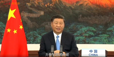 绿色情缘