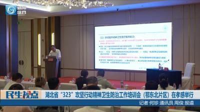 【民生视点】湖北省“323”攻坚行动精神卫生防治工作培训会（鄂东北片区）在孝感举行