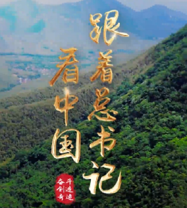 跟着总书记看中国｜山坳坳里种下金果果
