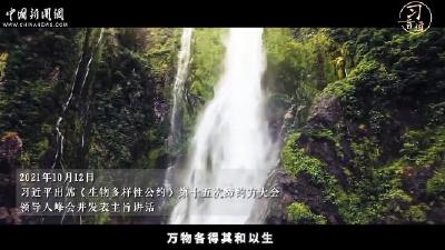习言道 | 万物·生