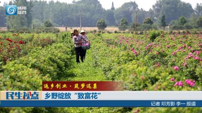 【民生视点】乡野绽放“致富花”